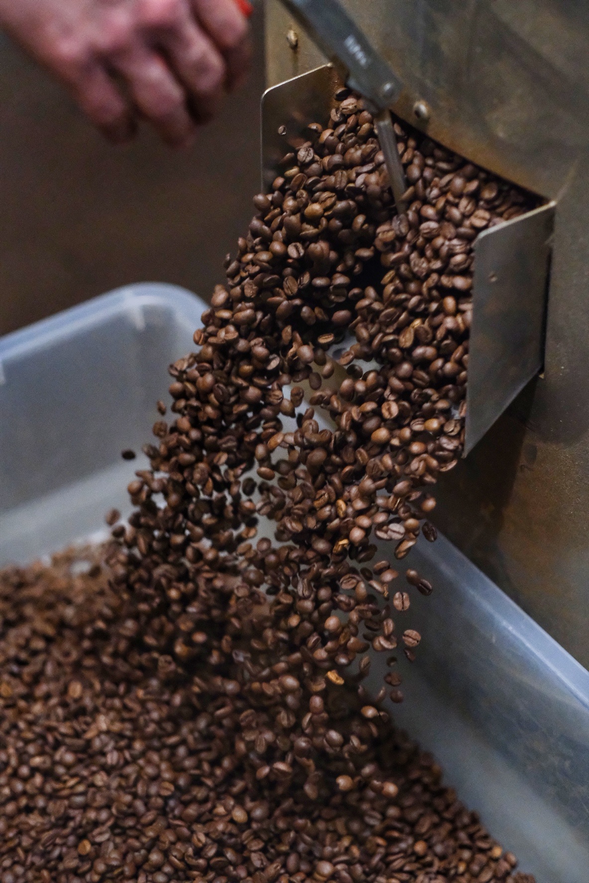 Colbergcoffee palarnia kawy z Kołobrzegu